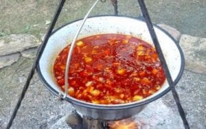 Gulas unguresc