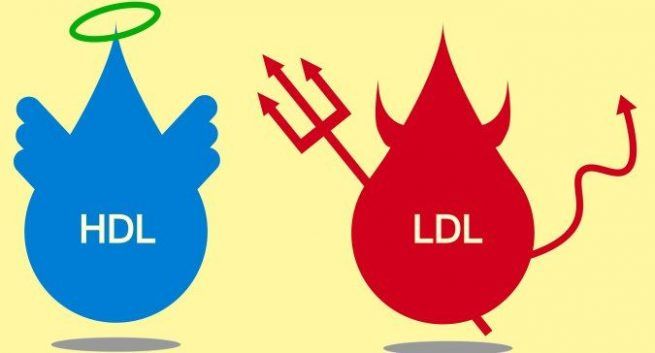 Colesterol LDL